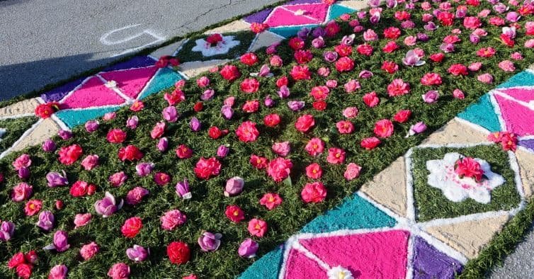 Paredes Celebrates Spring with the Primavera Festival da Flor