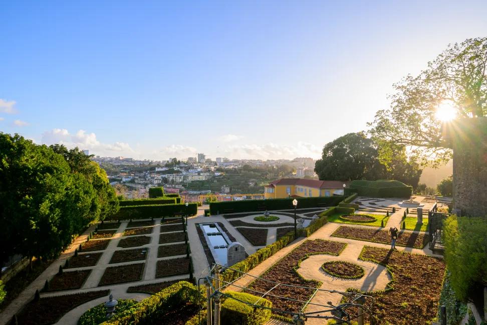 Main image of Porto’s Rose Garden Blooms Again