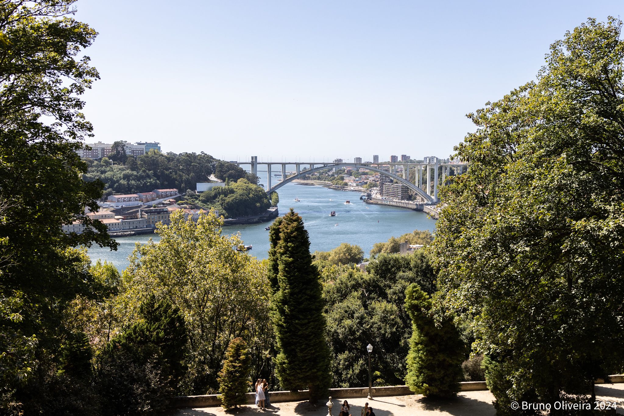 Main image of Porto’s Tourism Booms in 2024